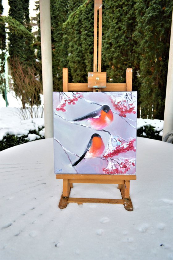 Bullfinches in winter