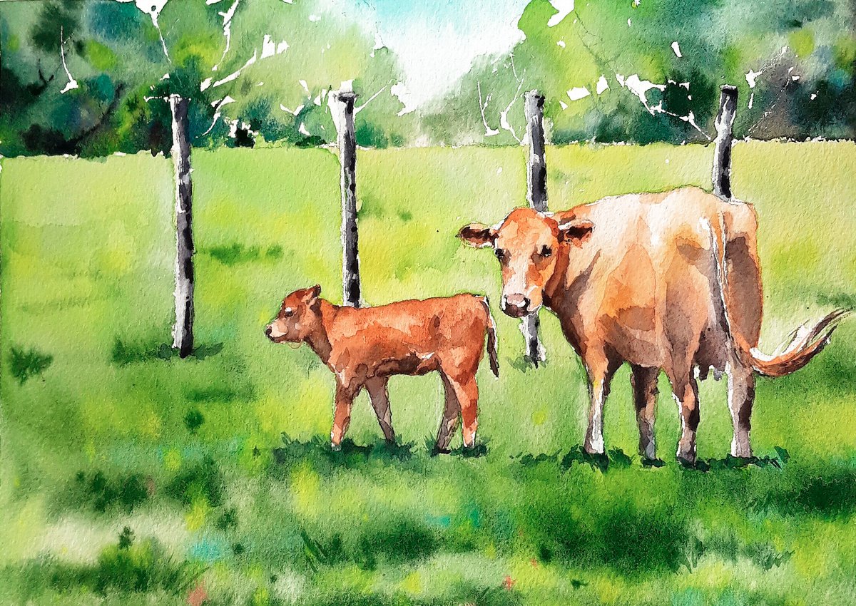 Cows study by Kateryna Somyk
