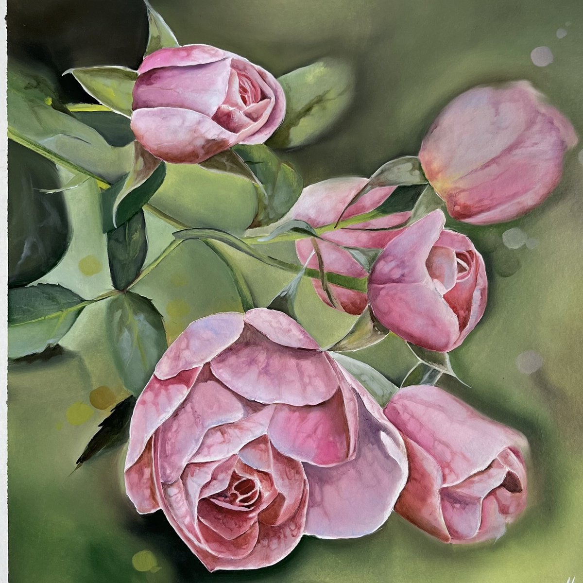 Photorealistic Oil Painting , Pink Roses By Myroslava Denysyuk, 12 X 12, Artwork For Sale On Artfinder