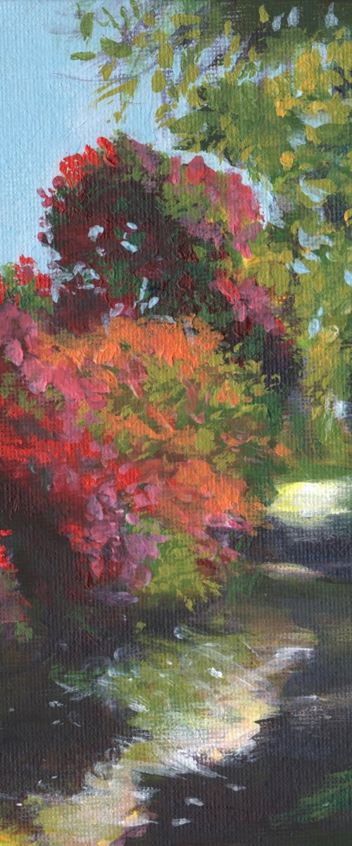 Through the flowers by Sarah Stowe