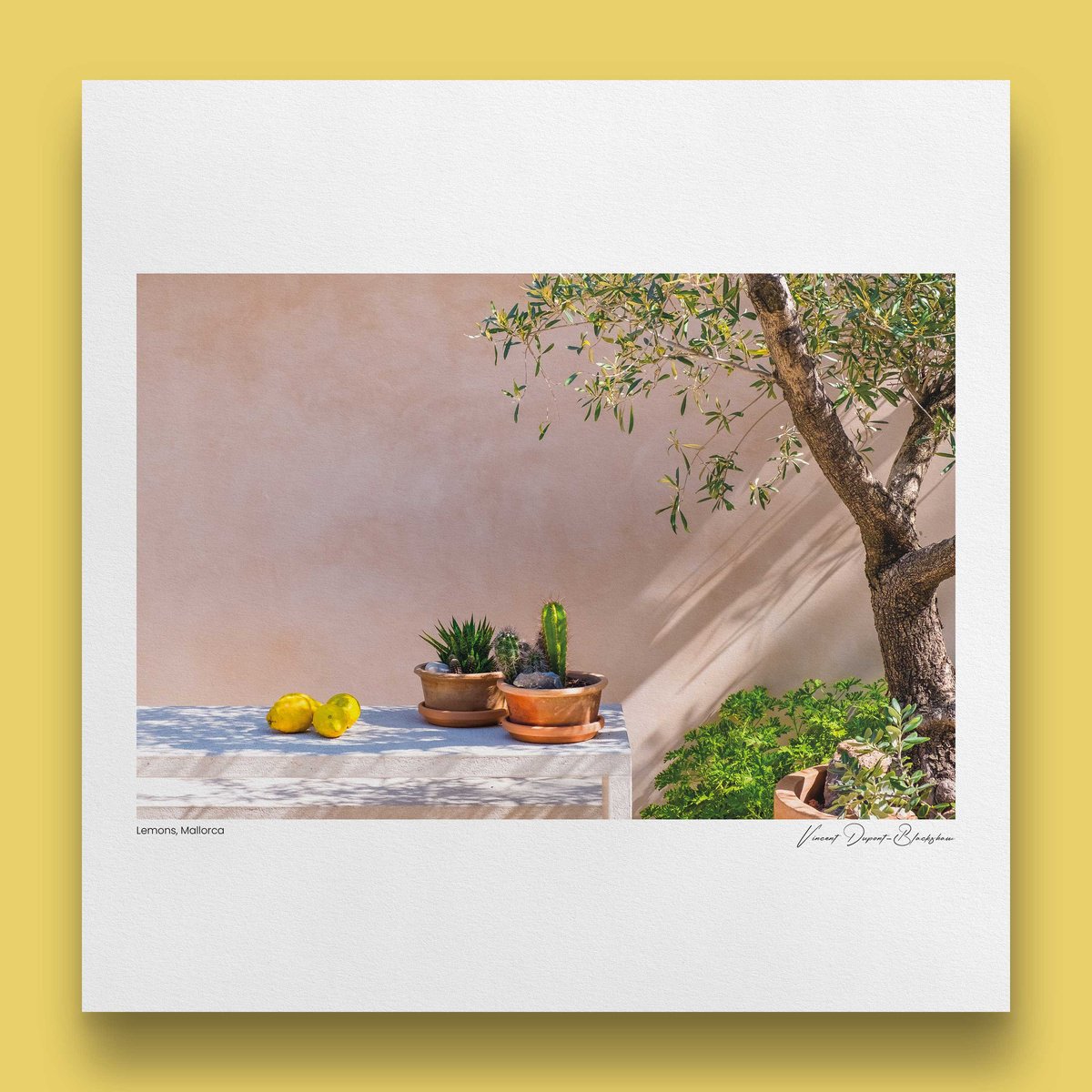 Still Life Photograph By Vincent Dupont-Blackshaw, 20 X 20", Lemons, Original Artwork