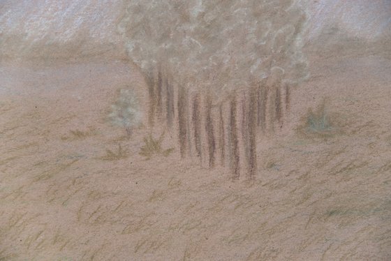 Earthy tones field landscape