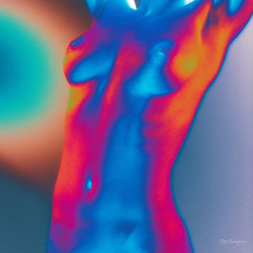 Colorful Nude II by Robbert Frank Hagens