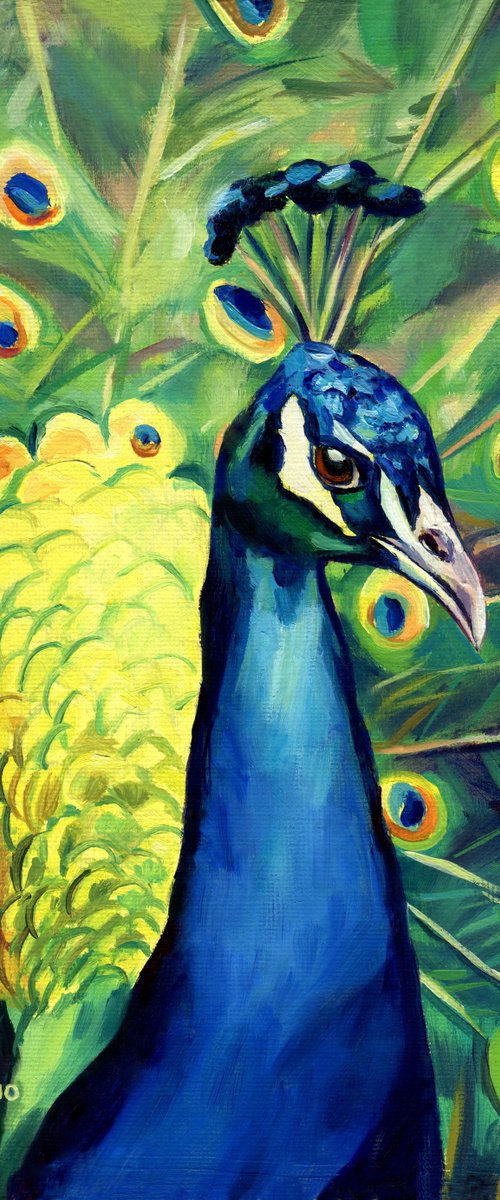 'You're so vain!' by Lucia Verdejo