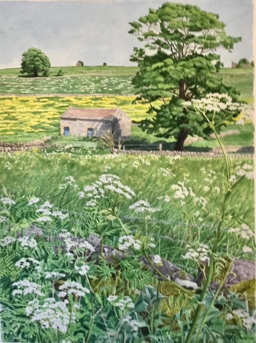 Barn Derbyshire by Rosalind Forster