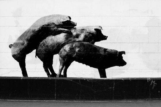 Virtual graffiti-Three Pigs