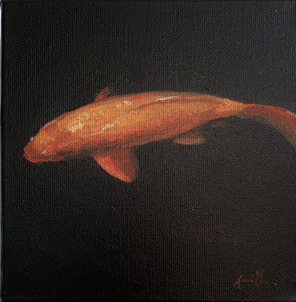 Koi Carp Fish On Chunky Box canvas. by Jackie Smith