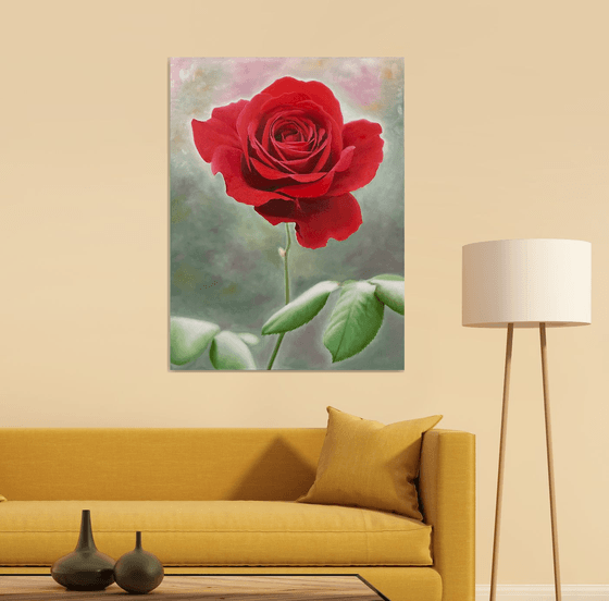 Rosa Amoris. Red rose