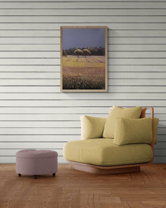 Lavender Fields 1