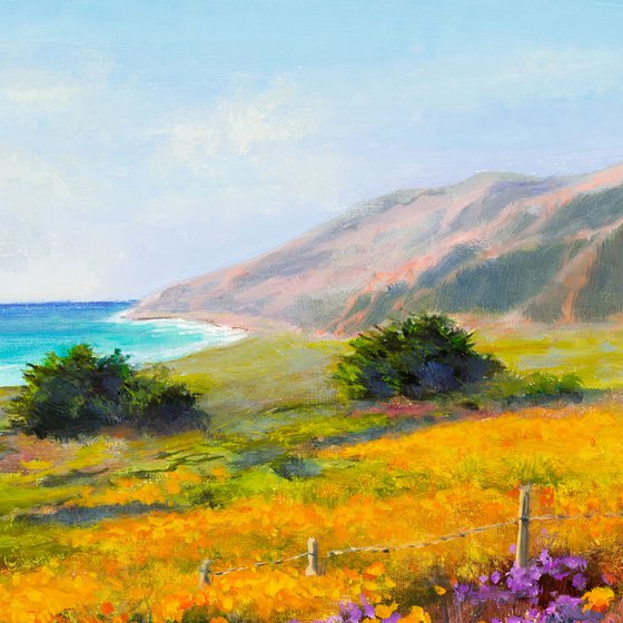 'Coastal wildflowers'