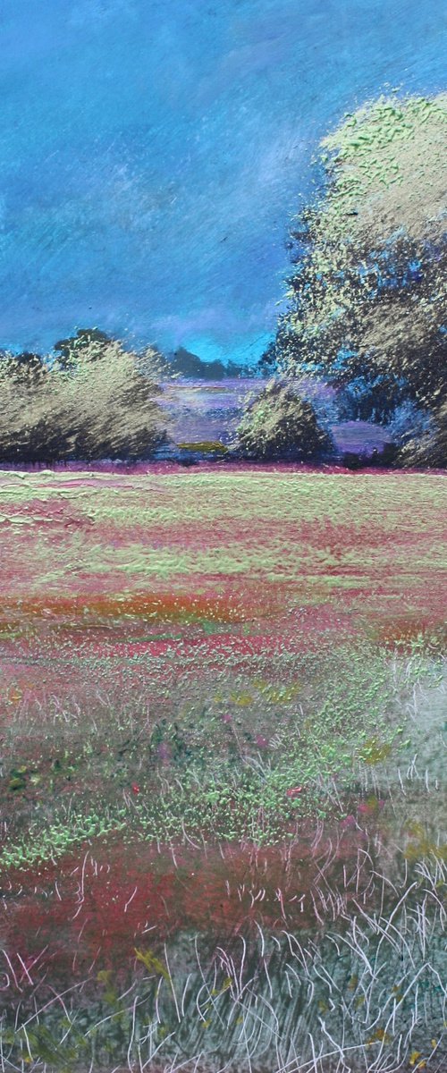 Solaris Dreamfields XV by Simon Jones