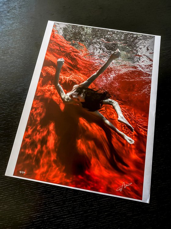 Wild Blood - underwater photograph - print on paper