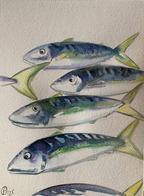Fish life