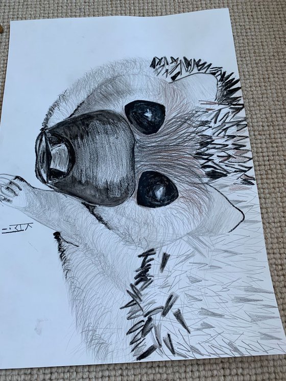 Hedgehog Big Face / Bird Art / Animals & Birds / Animal Portrait / Owl Art / Bird Art / Black and White / Original Artwork / Gifts For Her / Home Decor Wall Art 11.7"x16.5"