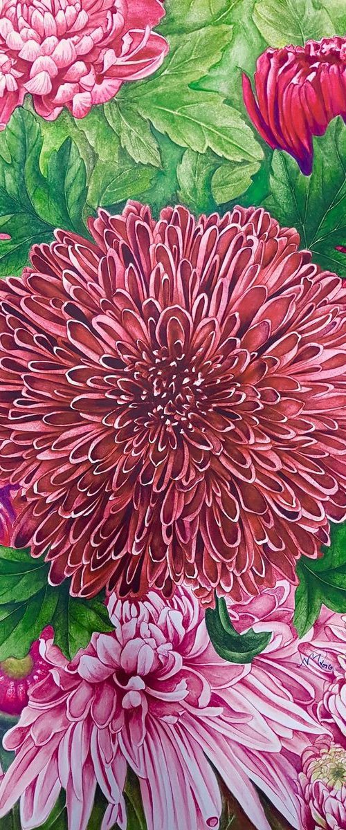 Chrysanthemums 2 by Nicola Mountney