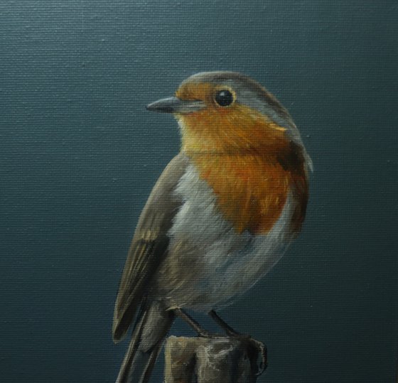 Lockdown's Morning Chorus Series - Robin, Bird Artwork, Animal Art Framed