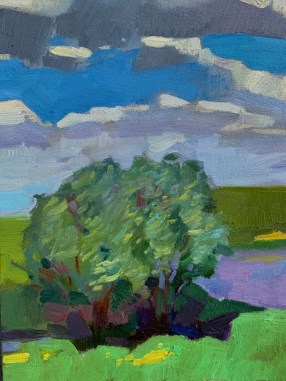 Summer Afternoon