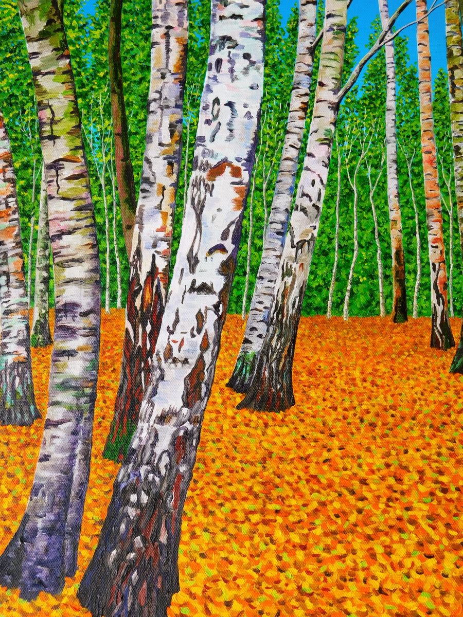 Silver Birch Wood by Ruth Cowell