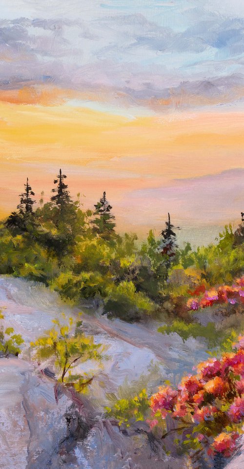 Blue Ridge rhododendron by Lucia Verdejo