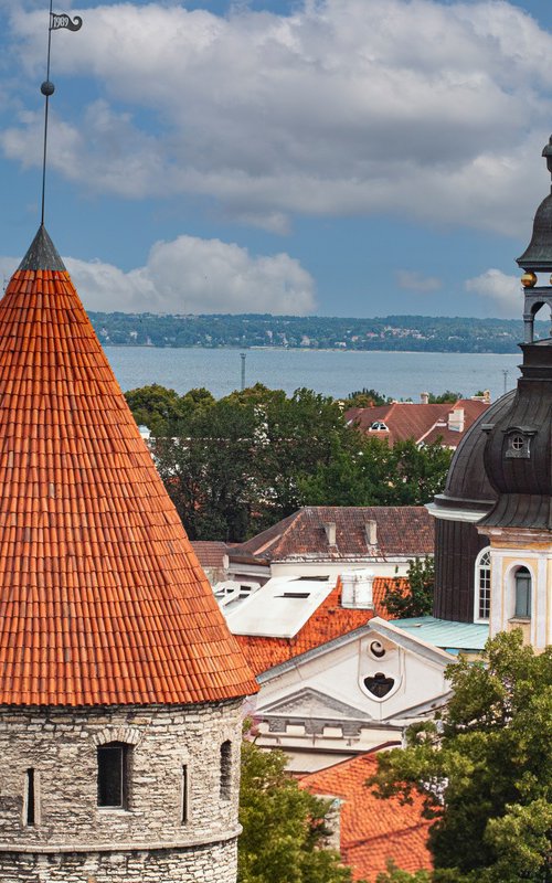 Tallinn City Center Detail by Bruno Paolo Benedetti