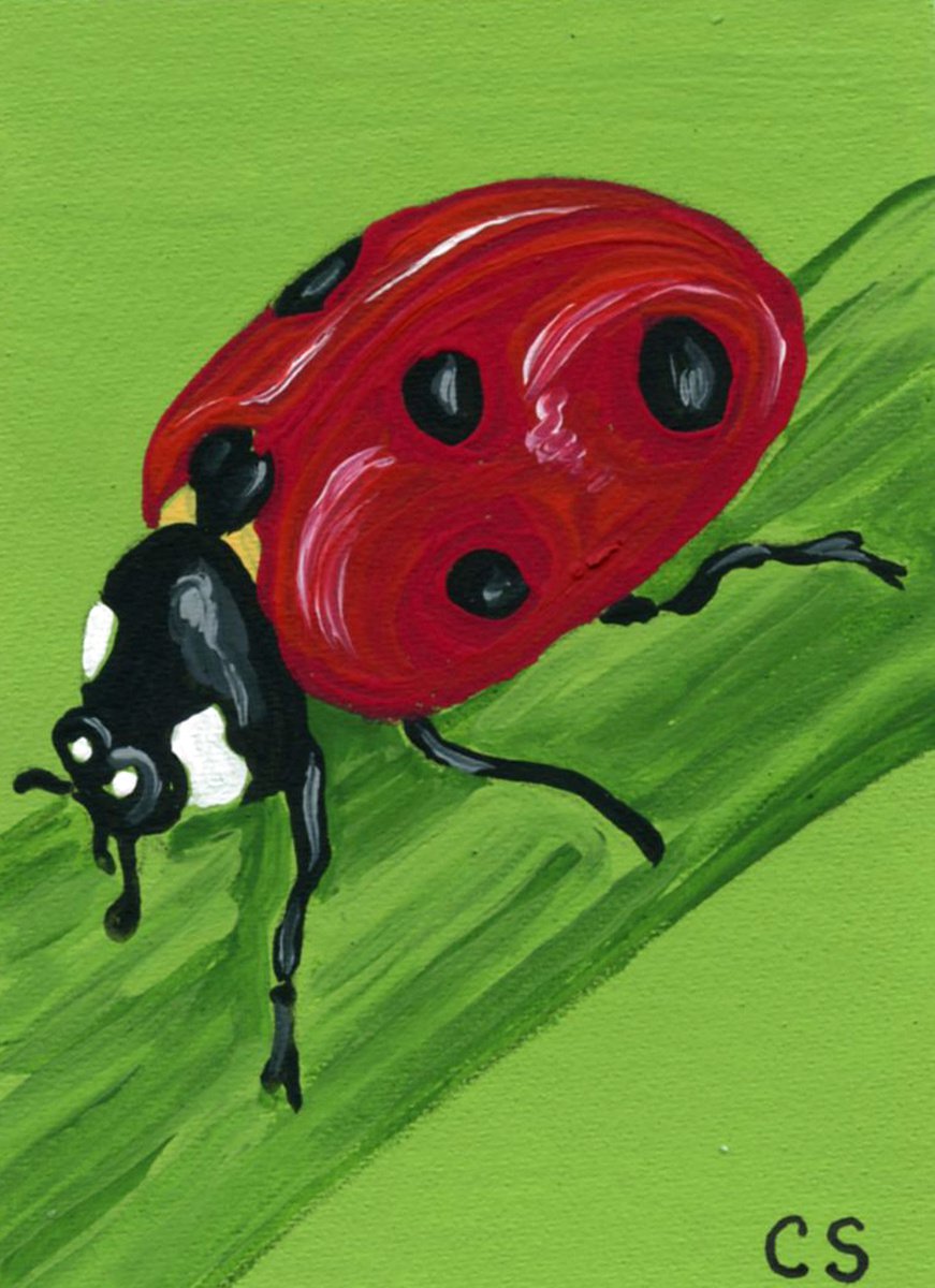 ACEO ATC Original Miniature Painting Ladybug Insect Wildlife Art-Carla Smale by carla smale