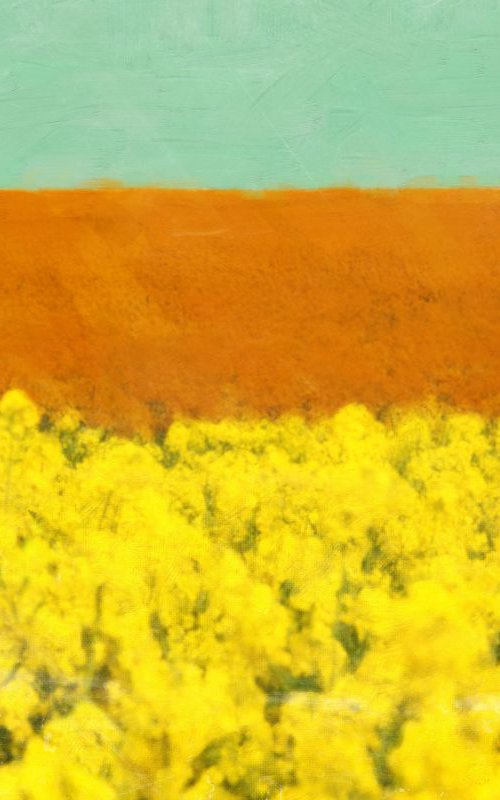 Yellow fields by Nadia Attura