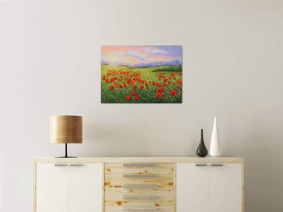 Poppy field in summer 4