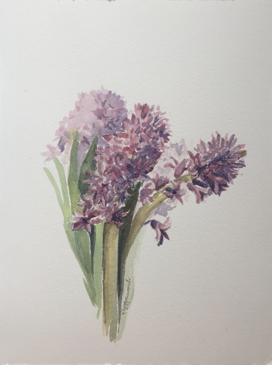 Pink hyacinth by Krystyna Szczepanowski
