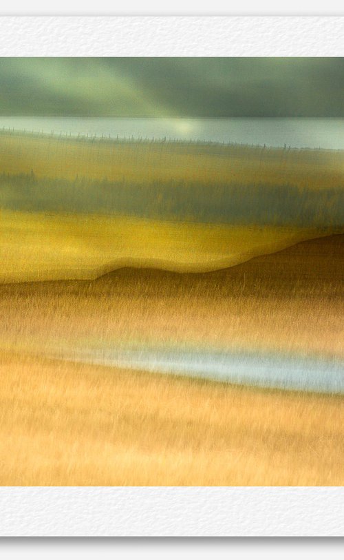 Harvest Time, Orkney by Lynne Douglas