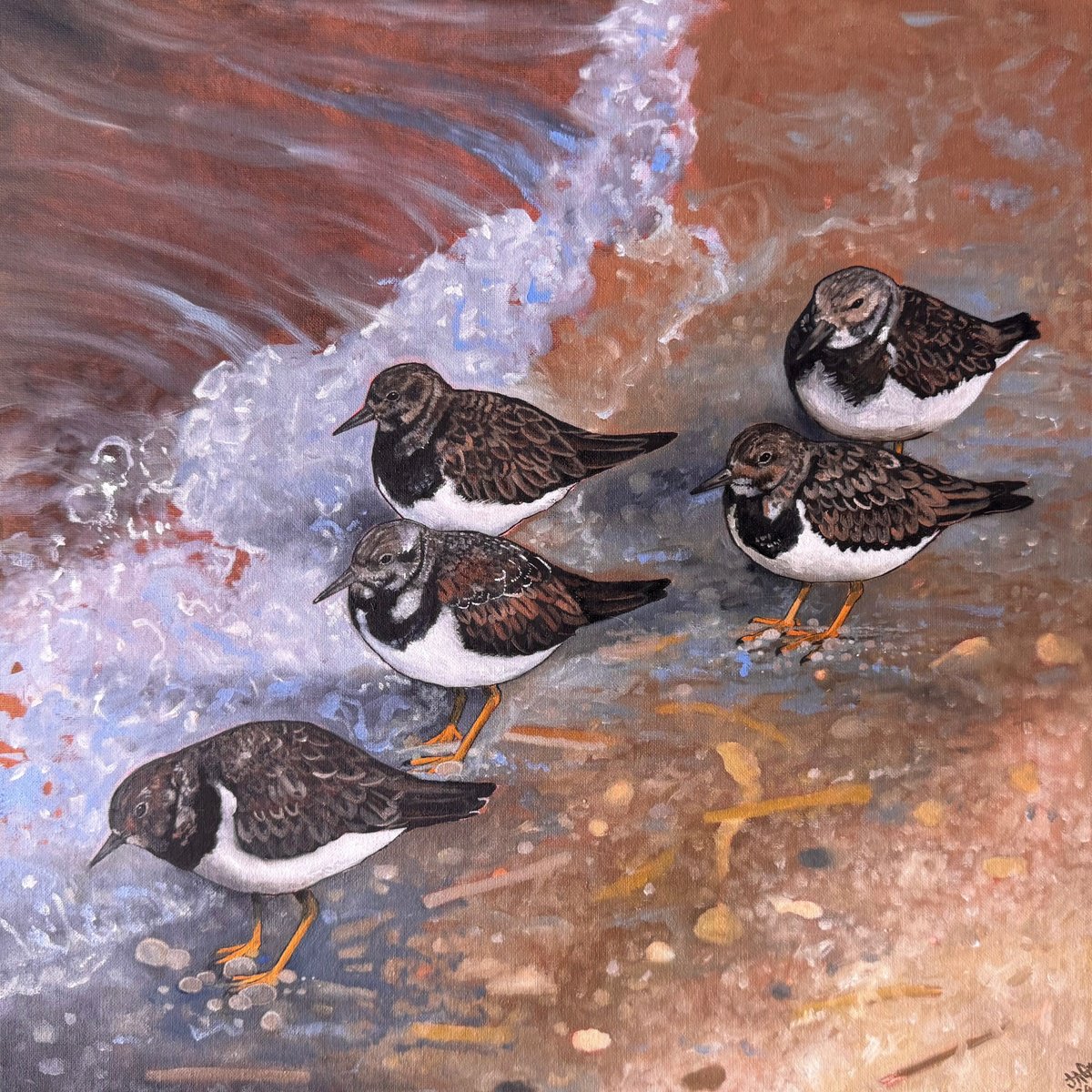 Illustrative Animal Oil Painting By Jem Gooding, 17 X 17, Shoreline Turnstones, Original Artwork