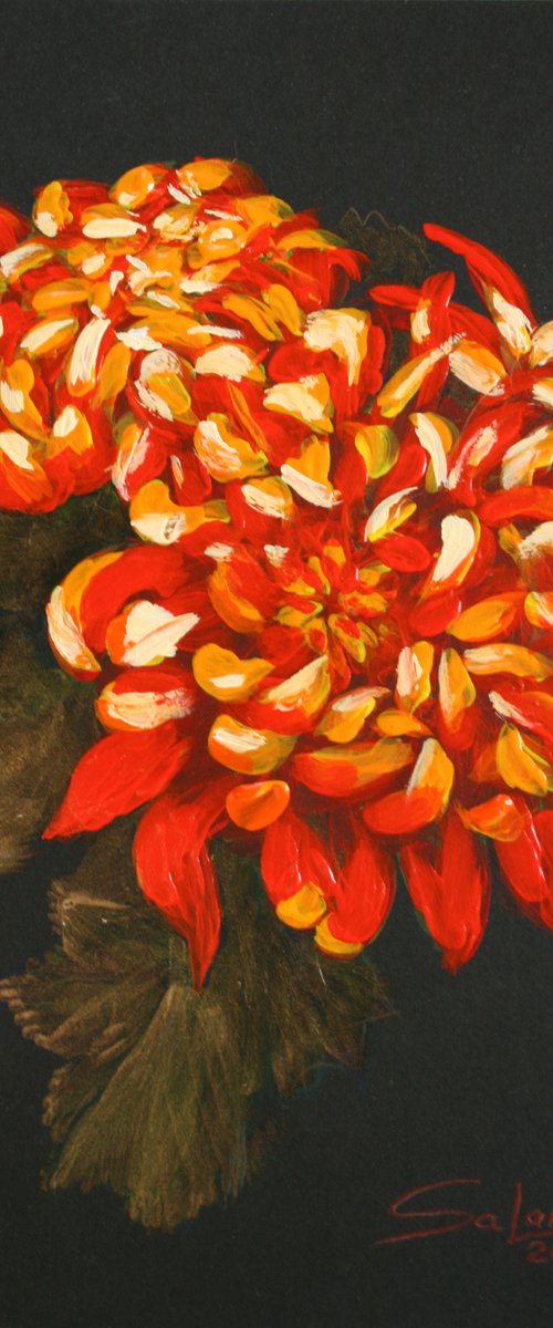 Chrysanthemums /  ORIGINAL PAINTING by Salana Art / Svetlana Samovarova