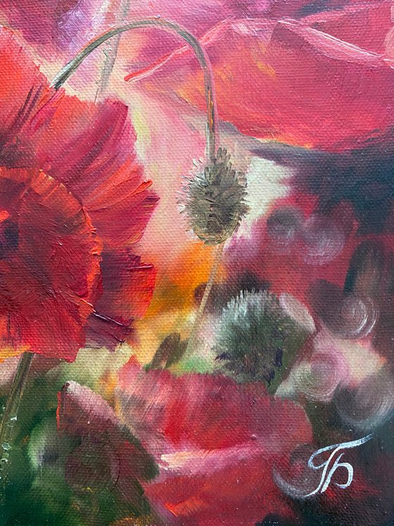 Transparent poppies. Red flowers.