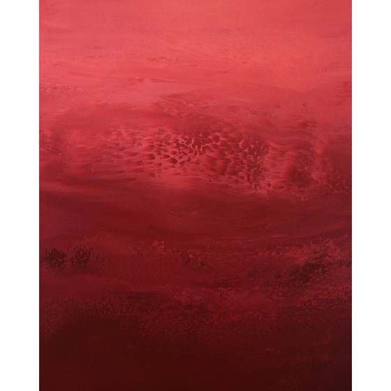 Claret Red - Color Field