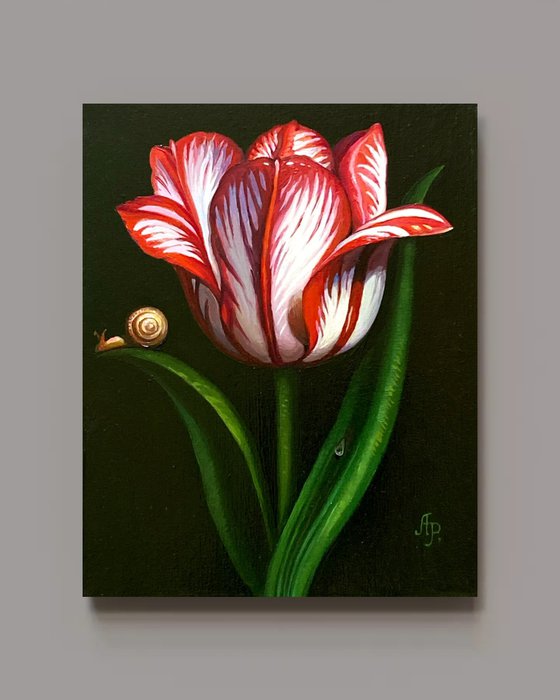Tulip and snail