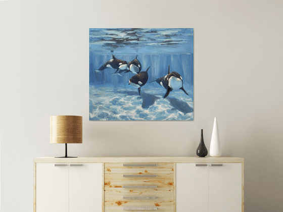 "A pod of Killer Whale"