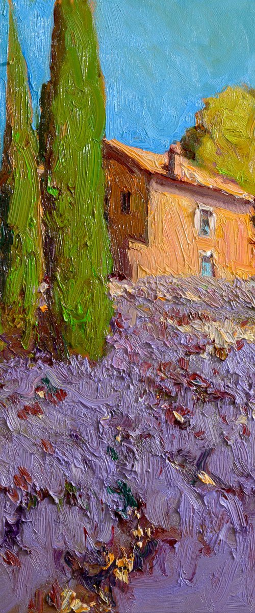 Lavender, French Village by Suren Nersisyan