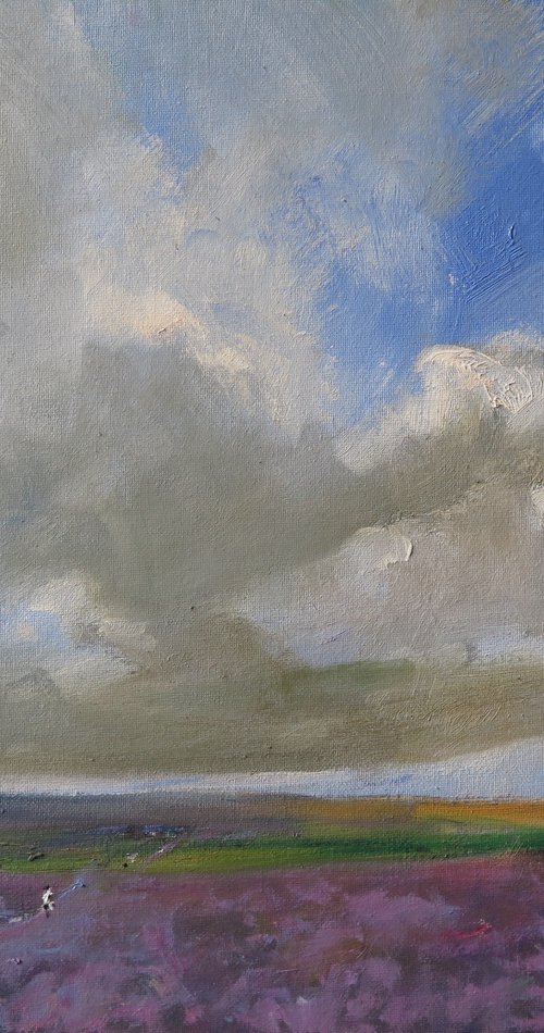 Bransdale Heather by Malcolm Ludvigsen