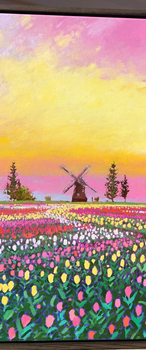 Sunset over tulips field by Volodymyr Smoliak