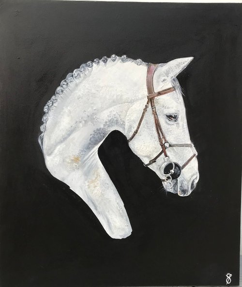 White knight by Ceri Baker