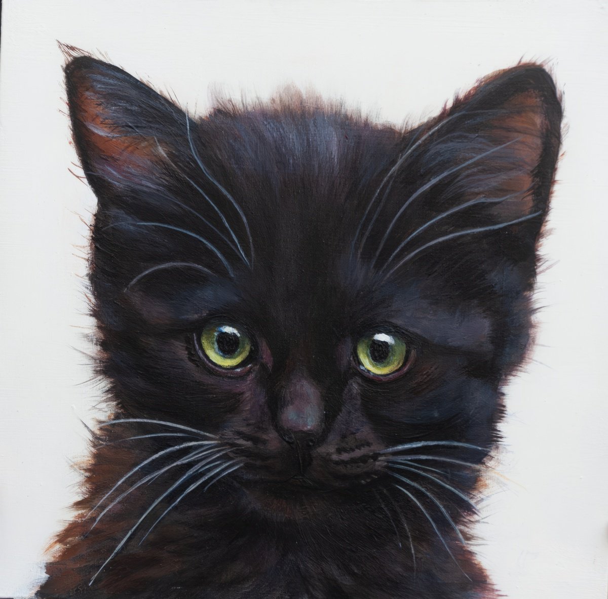 Photorealistic Animal Acrylic Painting By Norma Beatriz Zaro, 7 X 7", Black Kiten, Original Artwork