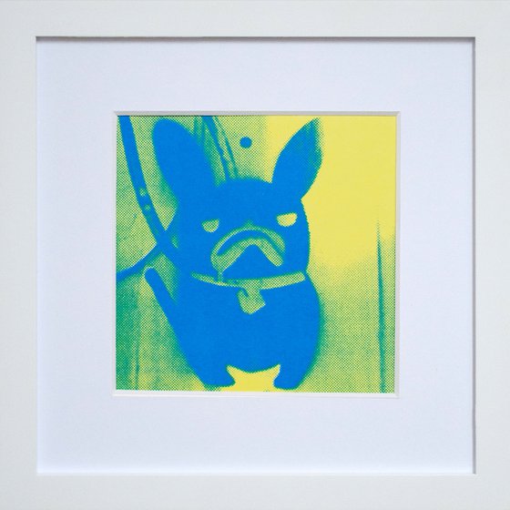 'Blue' French Bulldog (small framed artists proof)