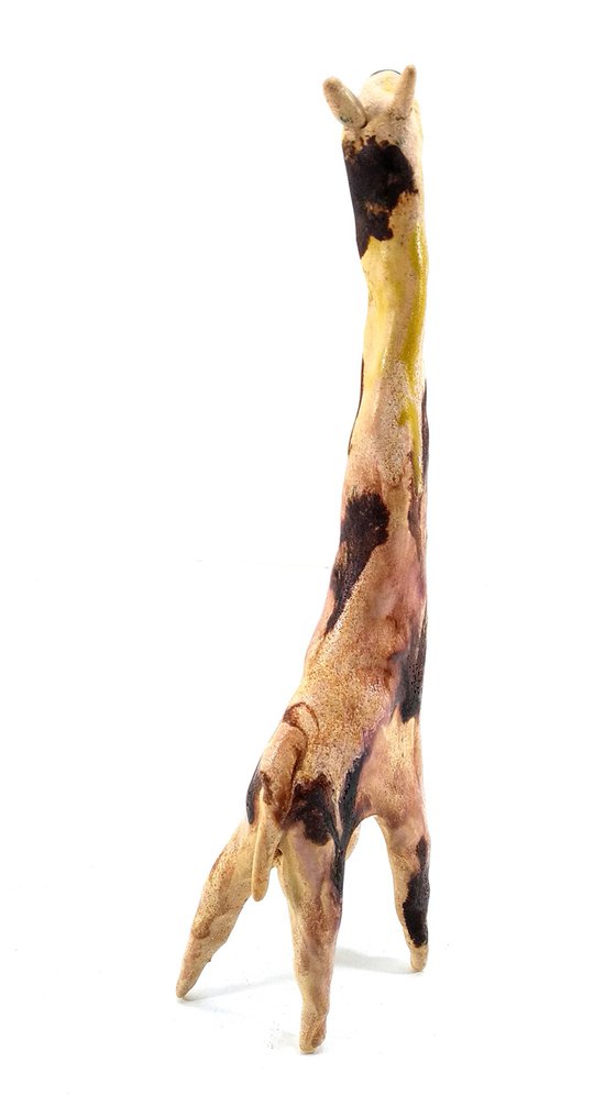 GIRAFFE V