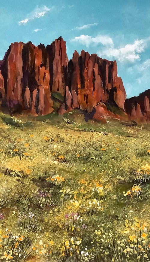 Desert in Flower by Darren Carey