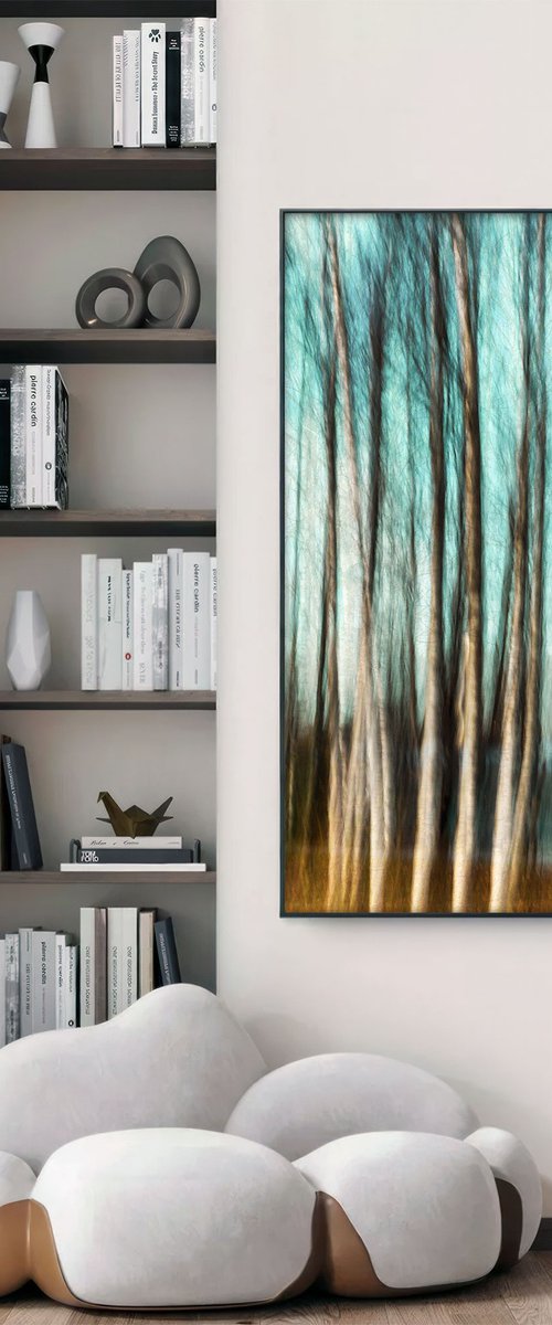 Birches (studio 5) by Karim Carella