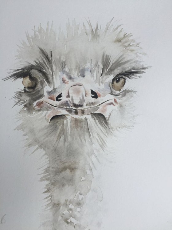 Ostrich painting “Good Morning”