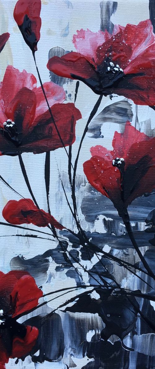 Poppies on a square little canvas by Marja Brown