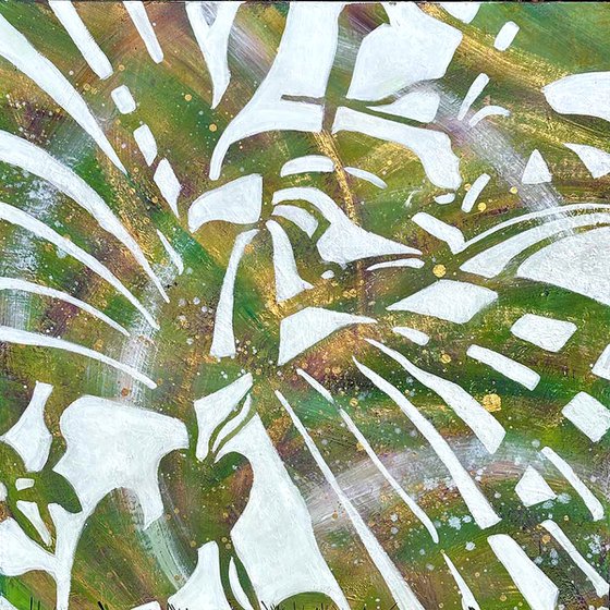 Canopy