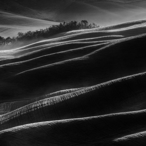 Black Hills by Tomasz Grzyb