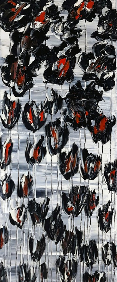 Black Poppies 1 by Daniel Urbaník