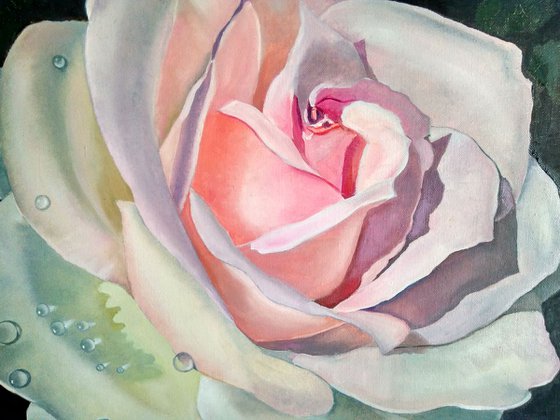 Rose, 60x50 cm, ready to hang.